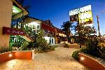 Cattlemans Country Motor Inn and Serviced Apartments