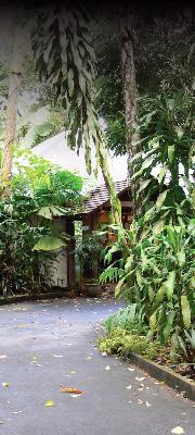 Heritage Lodge and Spa in the Daintree